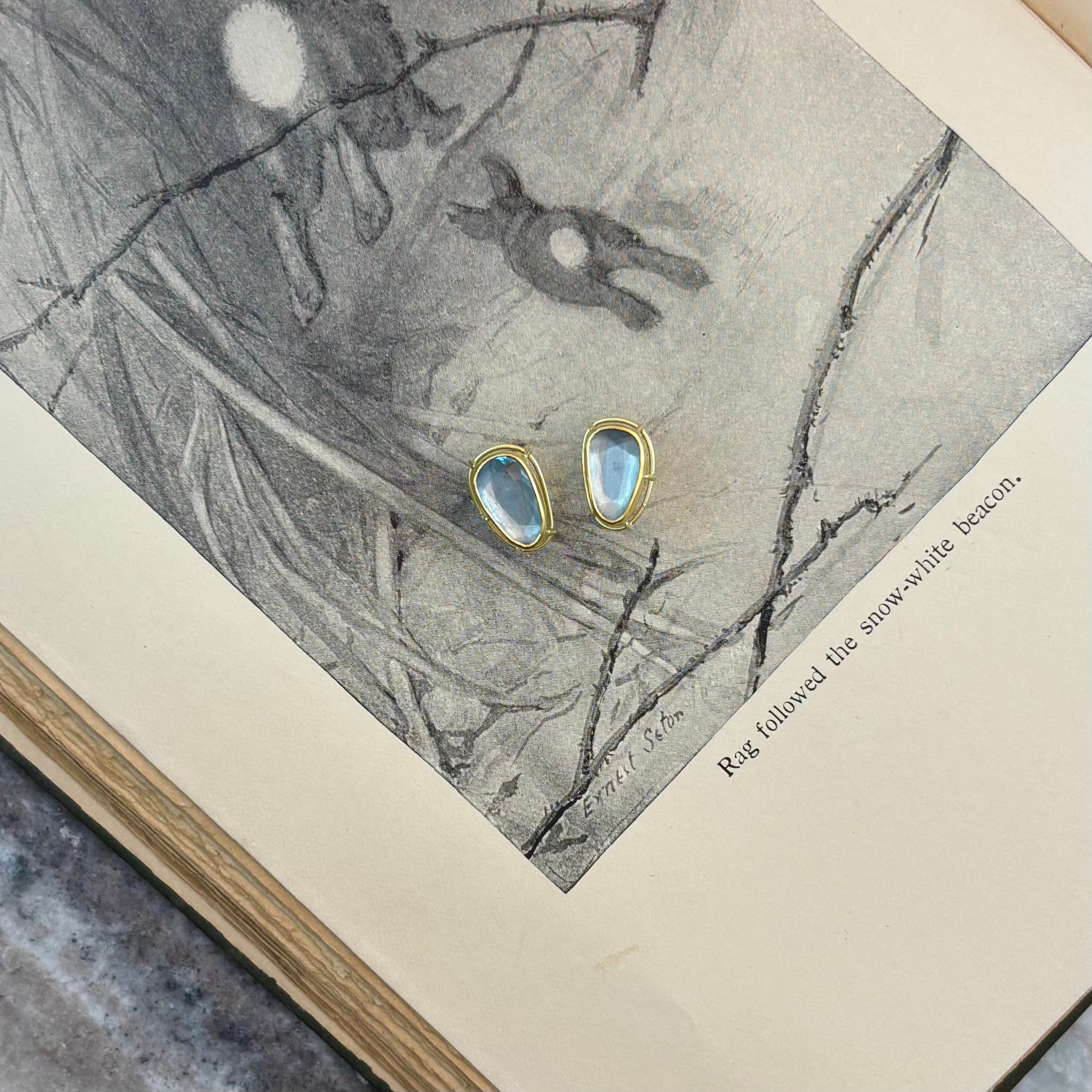 Elevated Aquamarine Earrings