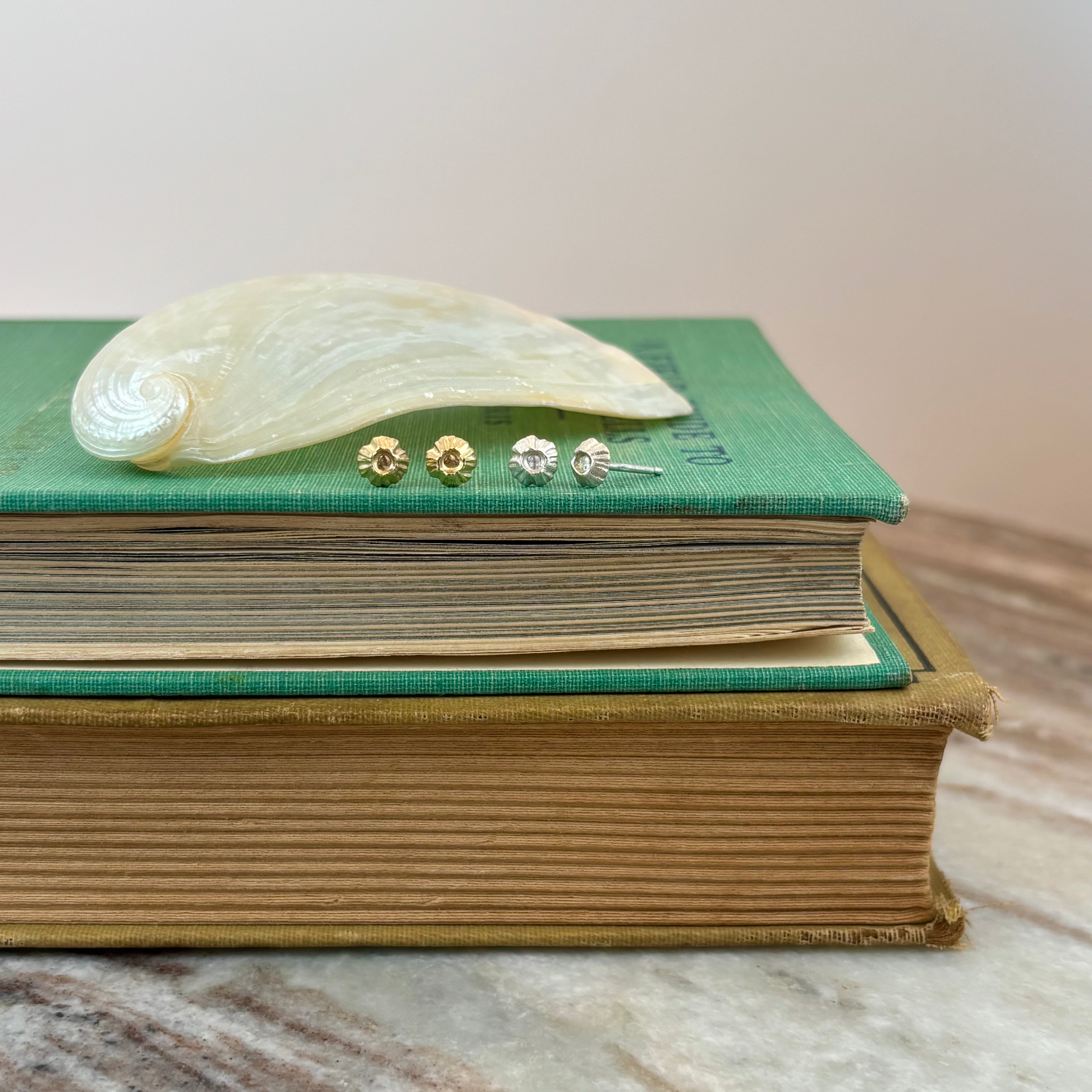 Barnacle Ruthie B. Studs in 14K Gold