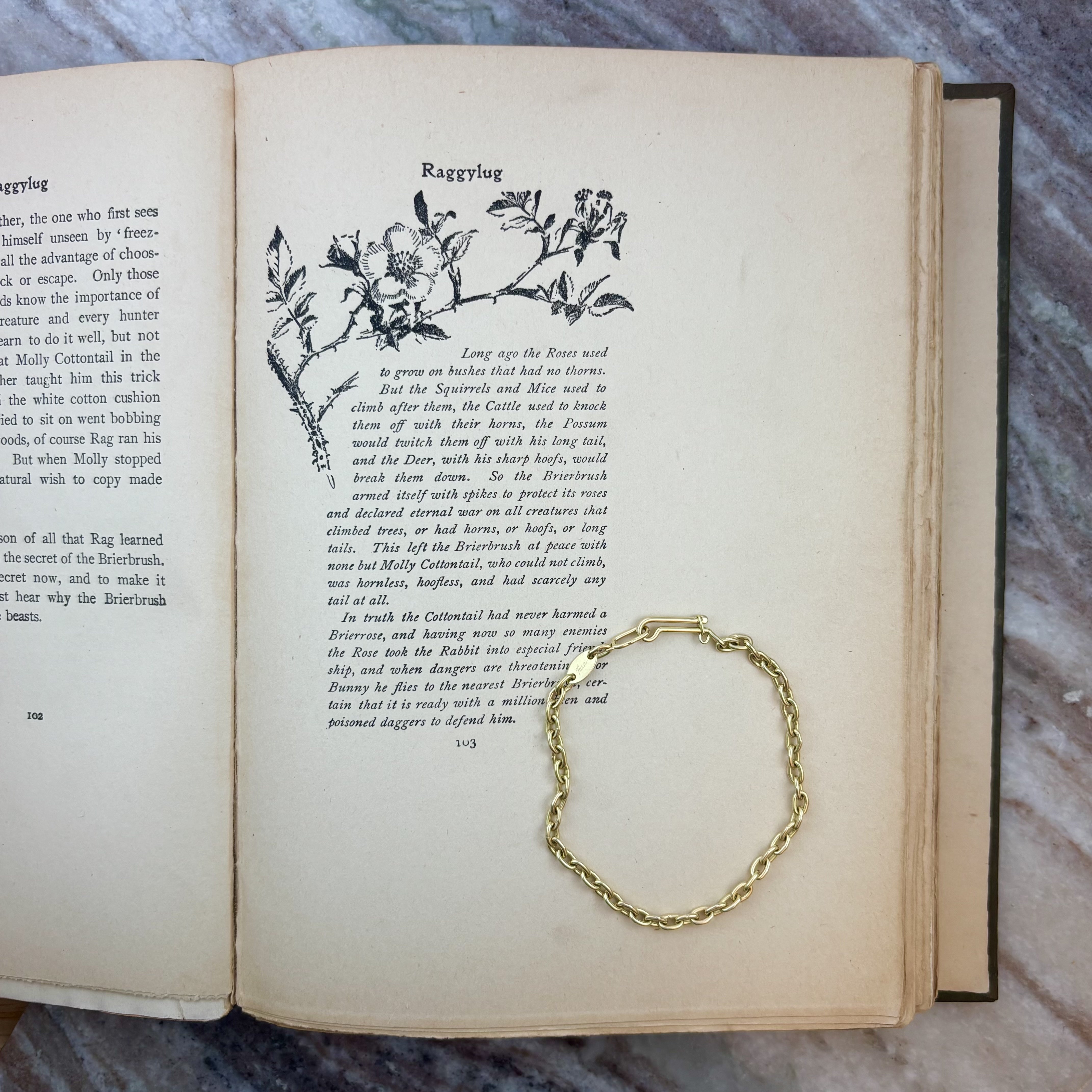 Novella Chain Bracelet