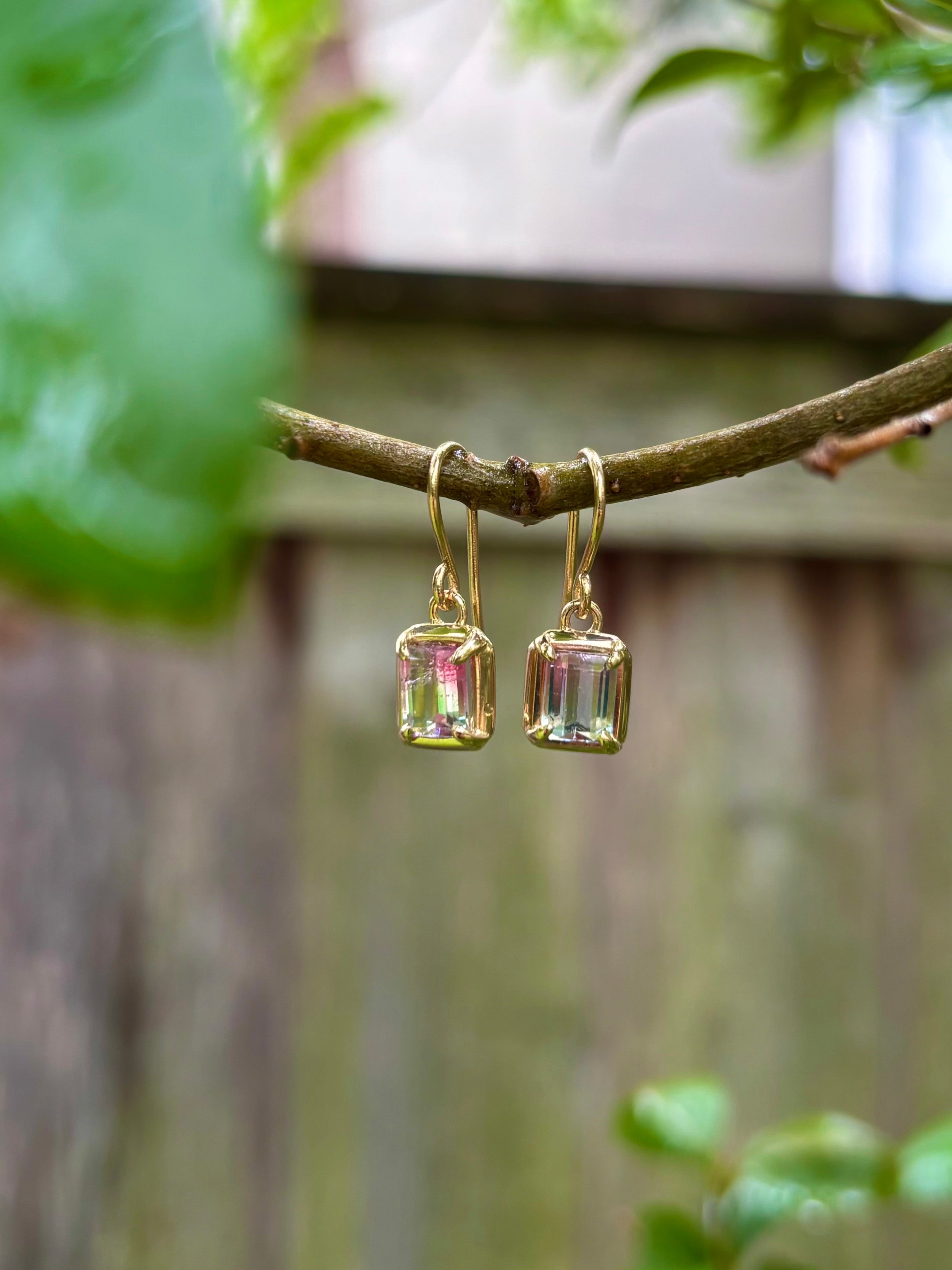 Watermelon Tourmaline Earrings